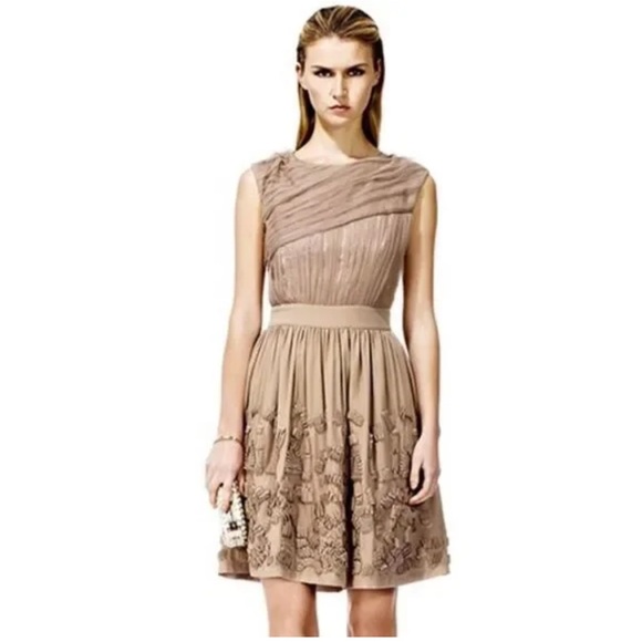 Reiss Dresses & Skirts - REISS Elenor Pleated Tulle Textured Appliqué Sleeveless Mini Dress